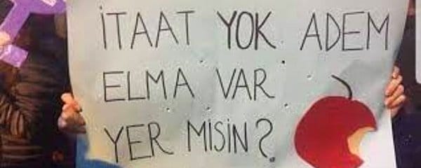 Feminizm Laneti